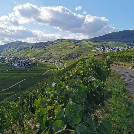 Feriehus Casa Eifel *